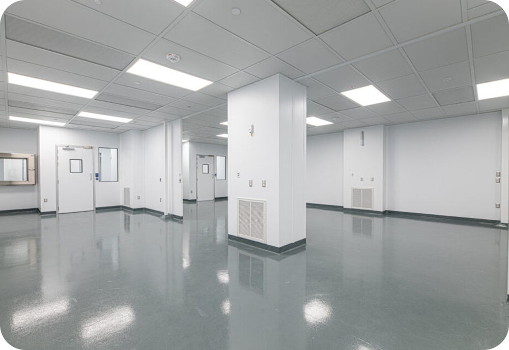 Diferencias clave entre campanas de flujo laminar horizontales y verticales